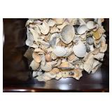 Wood Planter Box Full of Sea Shells