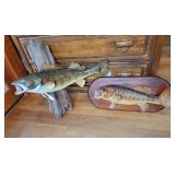 Two Mounted Fish Taxidermy Displays