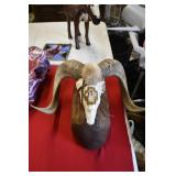 Ram Head Skull Mount