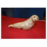 Real Fur Seal