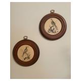 Two Framed Bird Illustrations