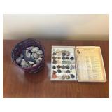 Mineral Specimens and Rock Collection Set