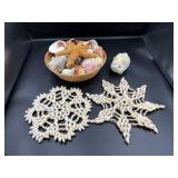 Seashells and Shell Art