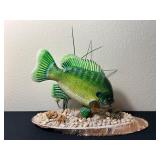 Vtg Hand-Painted Bluegill Sculpture 14ï¿½ï¿½x5ï¿½ï¿½x11.5ï¿½