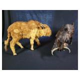 Miniature Taxidermy Brahman Bull and Cow