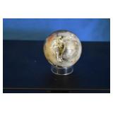 Polished Petrified Wood Crystal with Stand