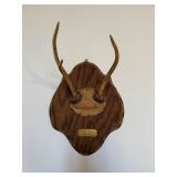 Mounted Antlers with Wooden Plaque