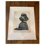 Etching of a Black Dog 11''x15''