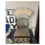 Metal 25' Balance Scale With Platform