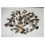 Lot of Arrowheads and Fossils