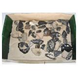 Lot of Arrowheads and Fossils
