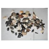 Lot of Fossils & Arrowheads