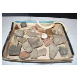Lot of Fossils and Arrowheads