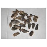 Lot of Arrowheads and Fossils