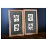 Pair of Framed Fruit Artwork