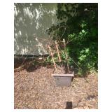 Assorted Outdoor Garden Decorative Items