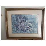 Jim Gray Framed Print of Ferns