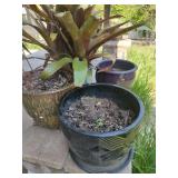 4 Ceramic Flower Pots
