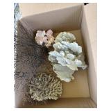 Box of Assorted Corals