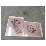 2 Harold Rigsby Prints