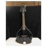 Rogue Mandoline with New Strings