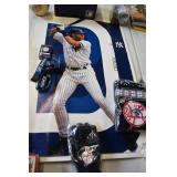 New York Yankees Souvenier Lot