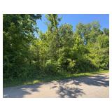 Roane/AndersonCounty Vacant Lot Auction