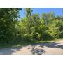Roane/AndersonCounty Vacant Lot Auction