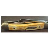 Case Three-Blade Folding Pocket Knife with Bone Ha