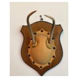 Mounted Antelope Horn Plaque With Wooden Shield