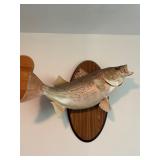 Mounted Striped Bass Wall Display on Wood Plaque