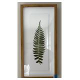 Framed Green Leaf Prints Pair