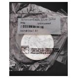 2009 Uncirculated American Silver Eagle