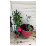 Potted Vines and Planters