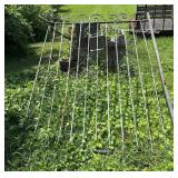 Wrought Iron Gate 76x92