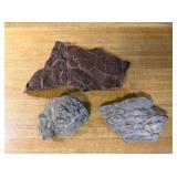 Three Fossil Rock Specimens