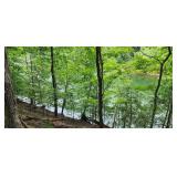 Lake Lot 1
