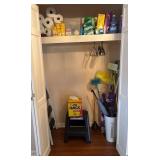 Household Cleaning Supply Lot