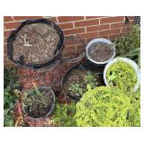 Outdoor Planters w/ Metal Stands