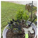 Garden Decor w/ Metal Ornaments