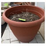 Large Terra Cotta Planter