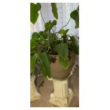 Plant in Pot w/Decorative Stand