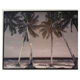 Framed Palm Tree Beach Photograph