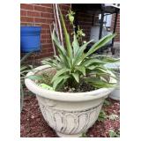 Decorative Beige Ceramic Planter w/ Plant