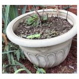 Round Decorative Outdoor Planter w/ Plant