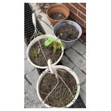Empty and Planted Pots w/ Hangers