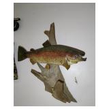 Rainbow Trout Taxidermy mounted on Driftwood