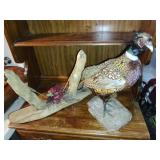 Pheasant Taxidermy & Driftwood Sculpture