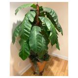 Faux Palm Tree, 7 Feet Tall in Ceramic Pot with Ro