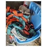 Belts & Harnesses